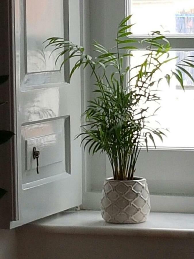 Hydra Memories House Konuk evi Dış mekan fotoğraf
